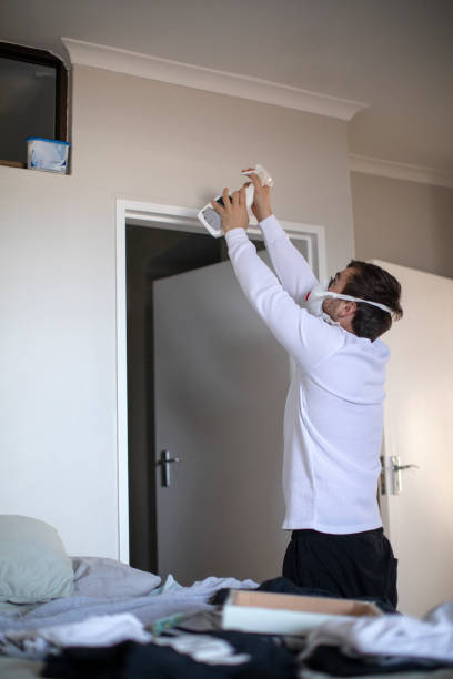 Professional Mold Removal in Benton, AR