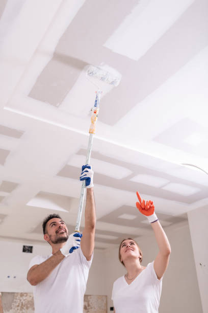 Best Attic Mold Removal  in Benton, AR
