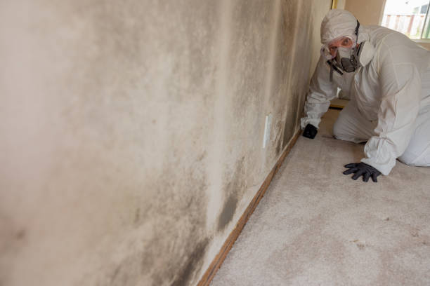 Best Dehumidification Services  in Benton, AR